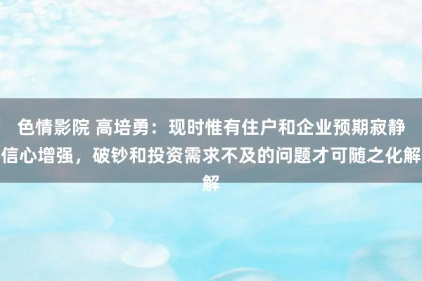 色情影院 高培勇：现时惟有住户和企业预期寂静信心增强，破钞和投资需求不及的问题才可随之化解