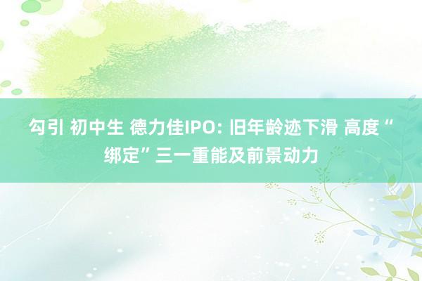 勾引 初中生 德力佳IPO: 旧年龄迹下滑 高度“绑定”三一重能及前景动力