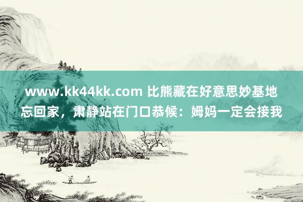 www.kk44kk.com 比熊藏在好意思妙基地忘回家，肃静站在门口恭候：姆妈一定会接我