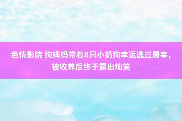 色情影院 狗姆妈带着8只小奶狗幸运逃过屠宰，被收养后终于露出灿笑