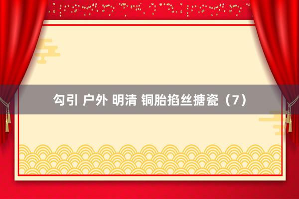 勾引 户外 明清 铜胎掐丝搪瓷（7）